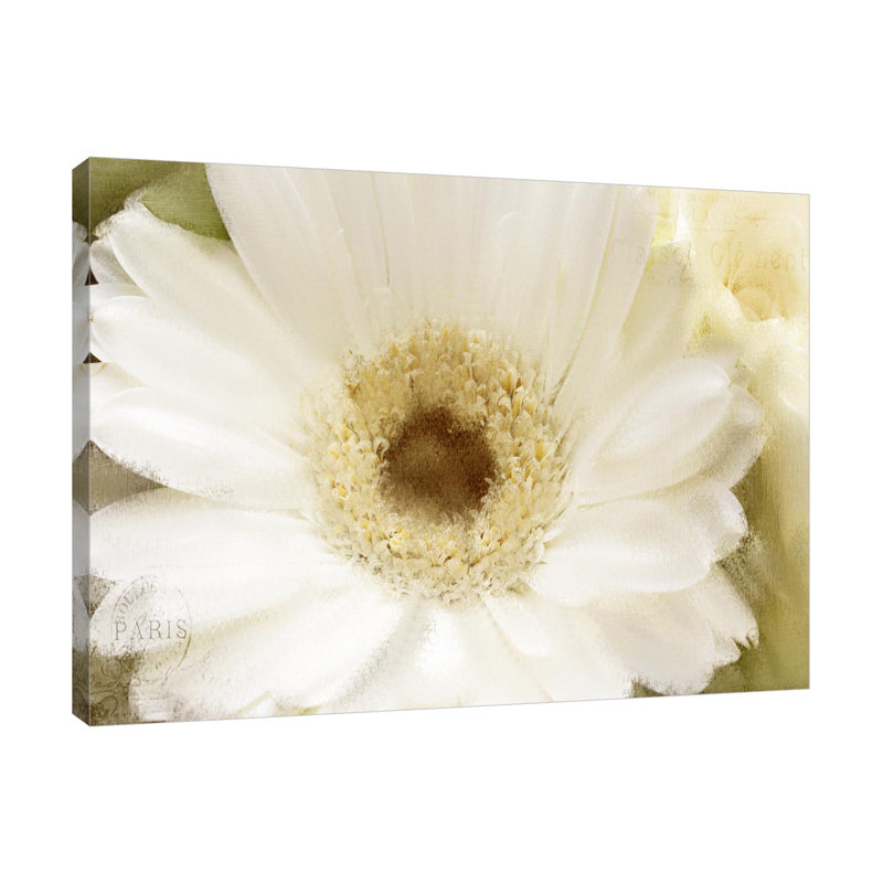 In Bloom by Kimberly Allen - Wrapped Canvas Print, 30cm H x 41cm W x 4cm D