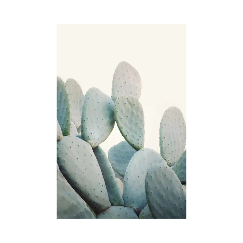 Pastel Cactus by Sisi & Seb - Gallery-Wrapped Canvas Giclée on Canvas, Canvas, 20.32 cm H x 30.48 cm W