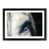 Black Framed