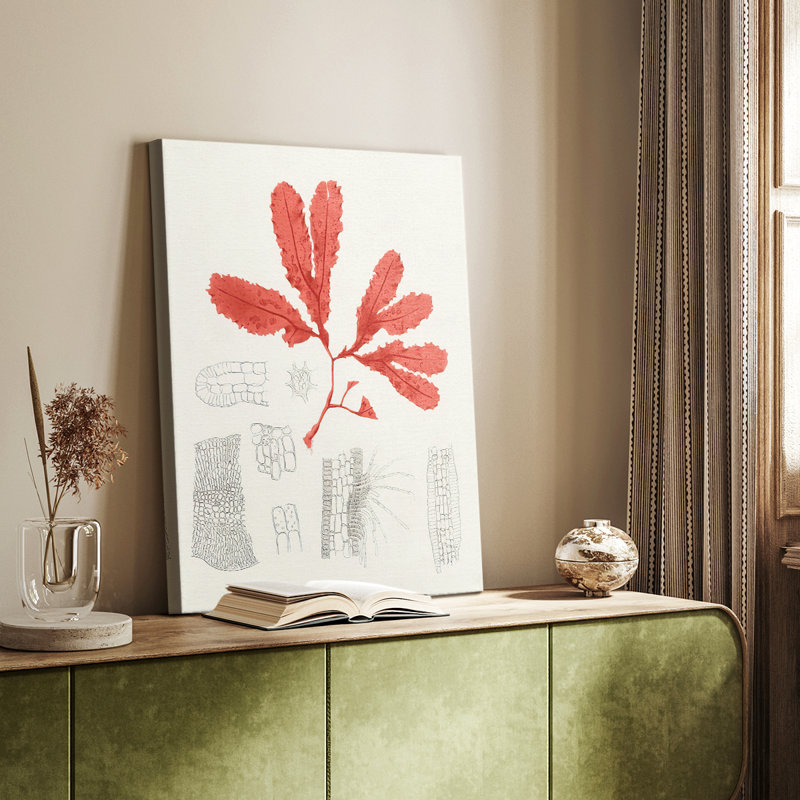 Étude de corail rétro II - galerie Cavas sur mesure, H 36 po x l 24 po