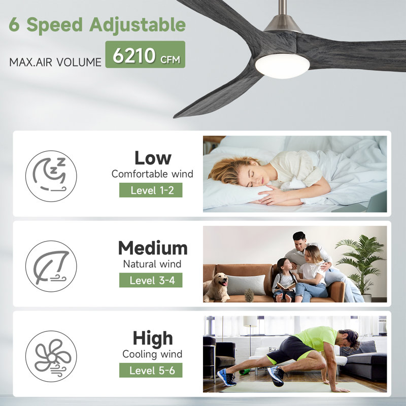 3 - Blade Modern Solid Wood Ceiling Fan With Light And Remote Control, 60", Dark Gray