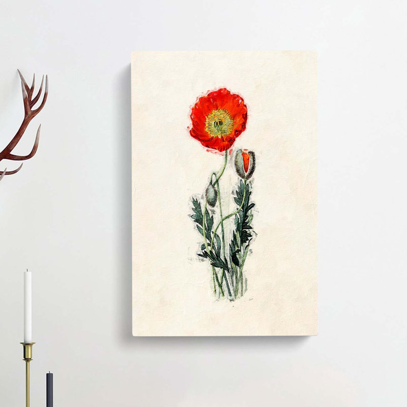 Illustration of a Poppy Flower - Wrapped Canvas, 50cm H x 35cm W x 3cm D