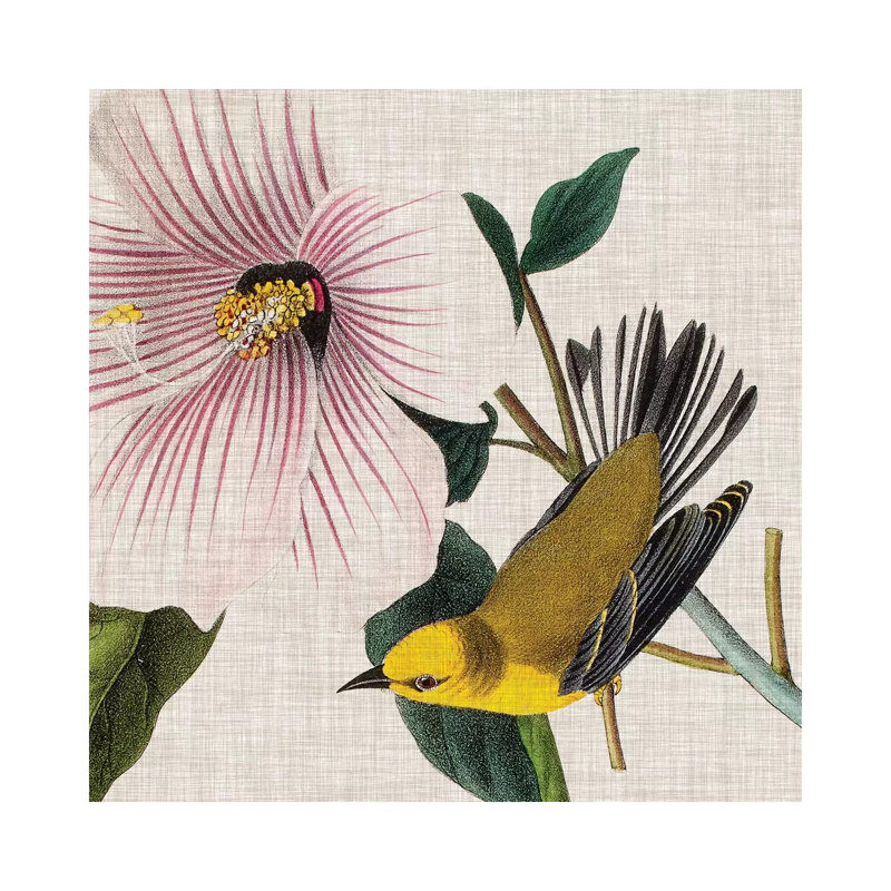 Avian Crop V by John James Audubon - Wrapped Canvas Painting, 45.72 cm H x 45.72 cm W