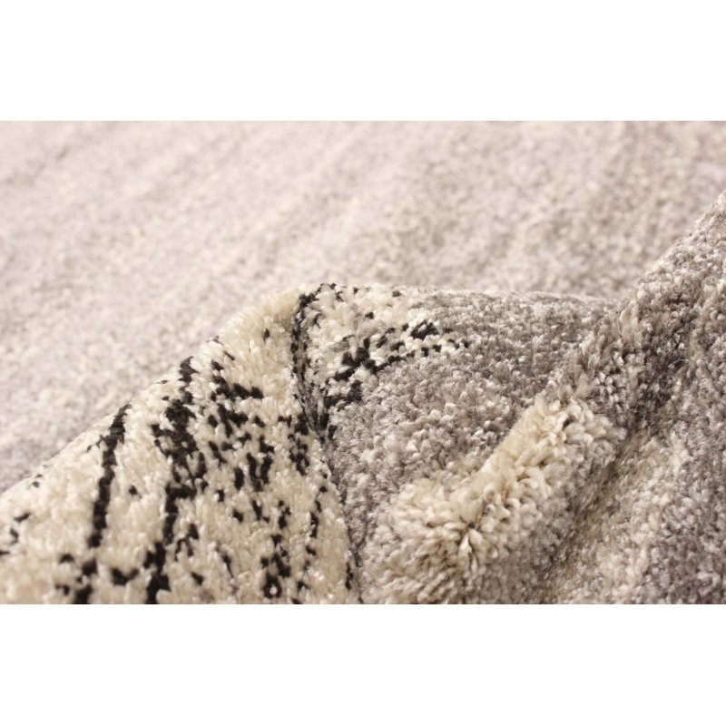 Salime Indoor Rug, Rectangle 3'11" x 5'7"