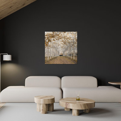Or blanc par Assaf Frank - photographie sans cadre