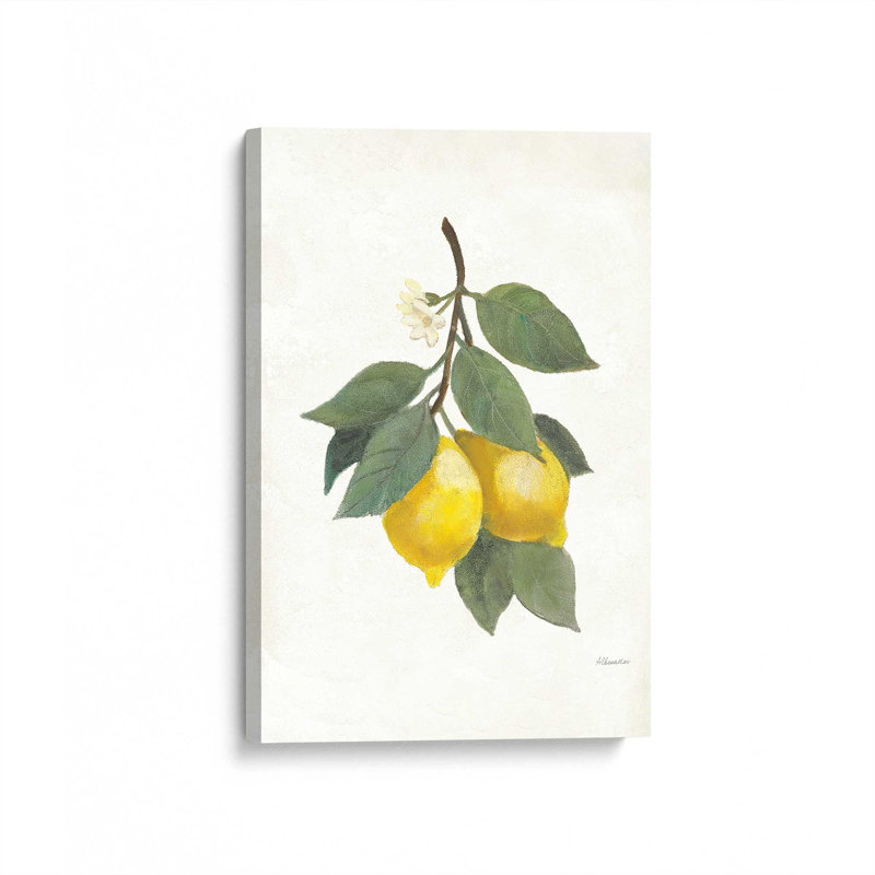 «Lemon Harvest I», reproduction sur toile, Toile tendue, H 12 po x l 8 po x P 1,25 po