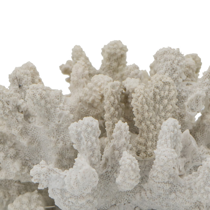 Sculpture côtière en simili corail, réaliste, 8 pouces Coastal