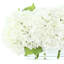 Hydrangea Arrangement In Oblong Glass Vase