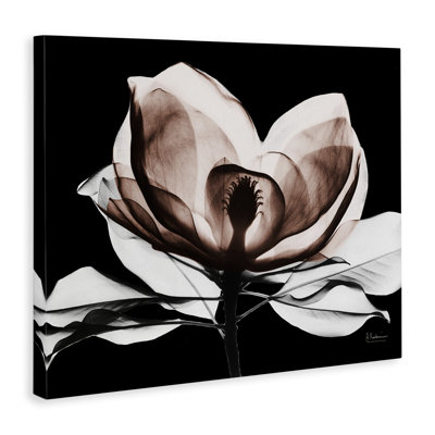 Art moderne sur toile Modern Mocha Magnolia, design par Albert Koetsier
