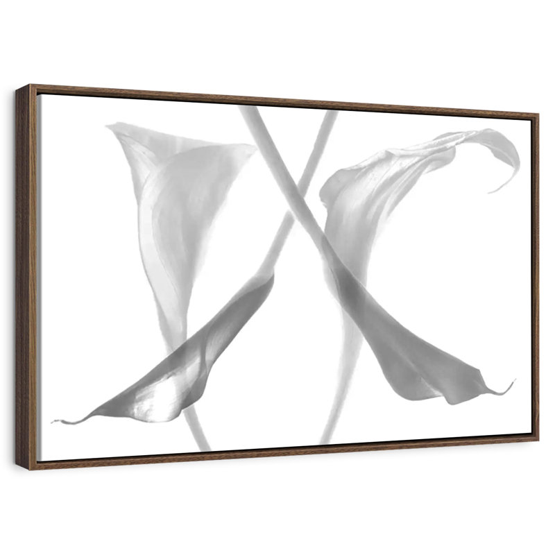 Diaphanous Calla Lilies, Floating Frame Walnut, 31" X 21"