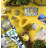 Amalfi Square 1 Piece Trivet