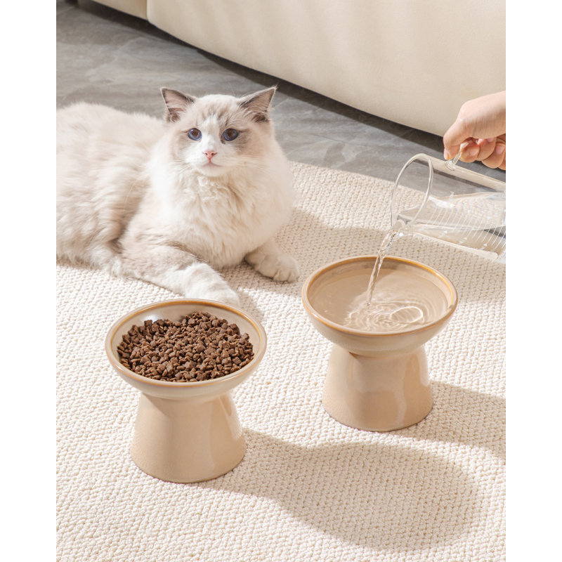 Elevated Feeder, Brown