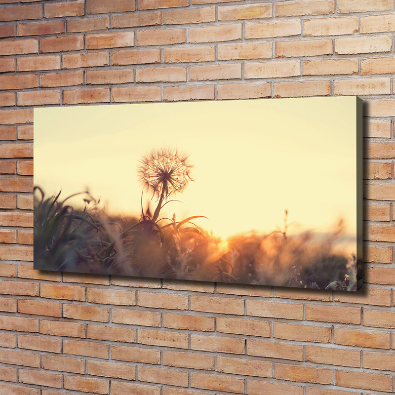 Dandelion - No Frame Print on Canvas