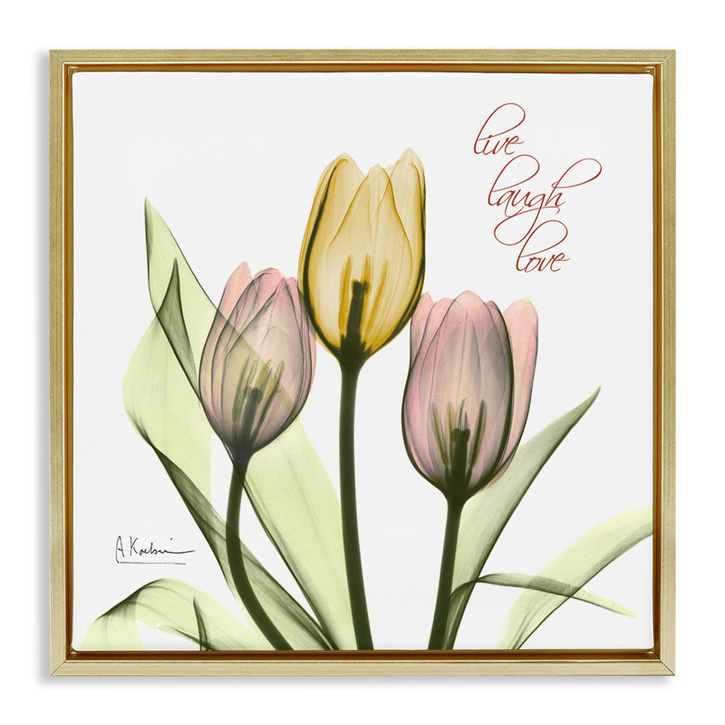 «Live Laugh Love Tulips», art mural encadré flottant gris par Albert Koetsier, Cadre flottant métallique doré