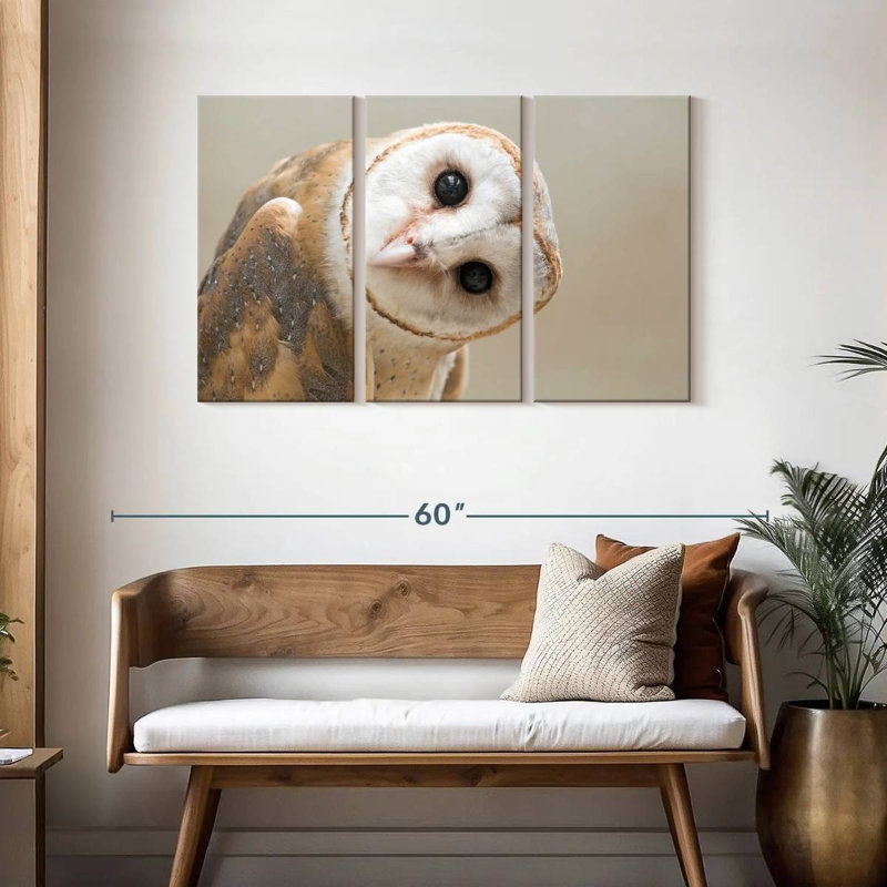 Barn Owl Gaze, 28" H x 45" W