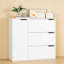 8 Pair Shoe Storage Cabinet