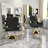 Hydraulic Salon Chair (Single Pack)