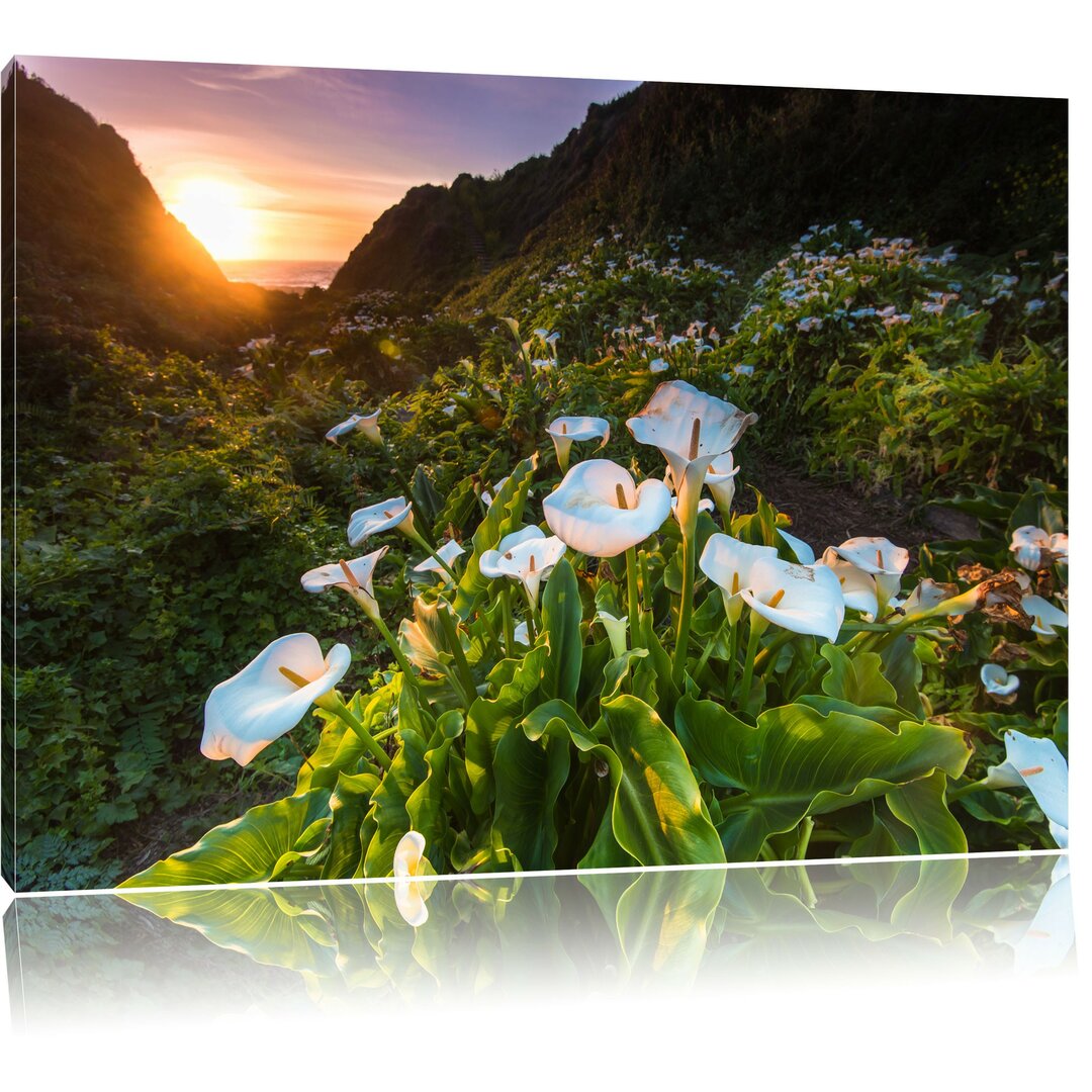 Leinwandbild Blumenwiese in den Bergen