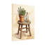 Tabouret avec plantes et fleurs-1246758831