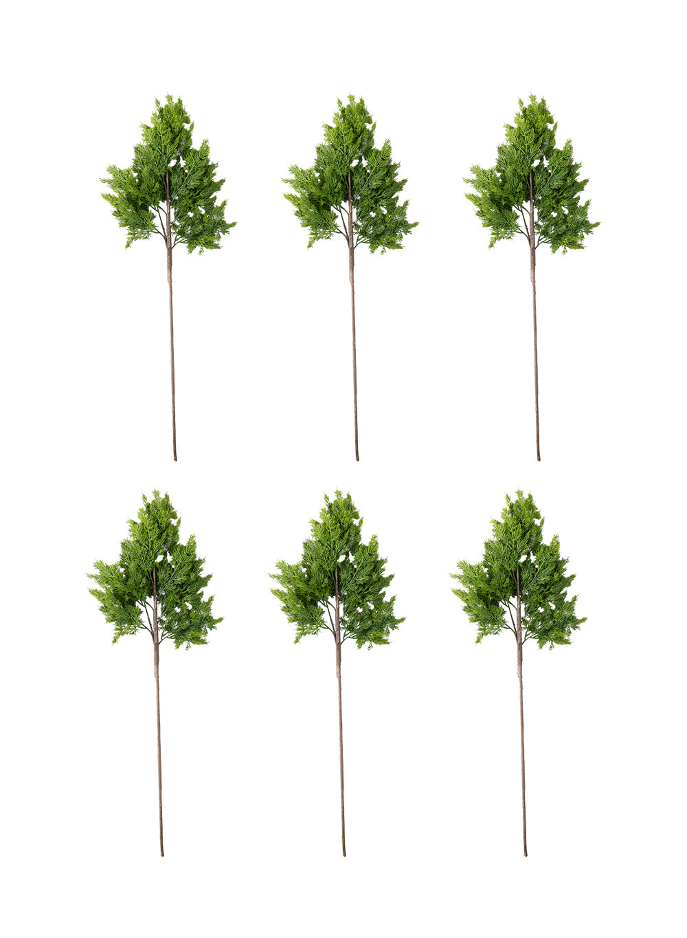 37" Pine Branch