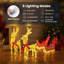 3D Christmas Reindeer with Sleigh LOVIISA LED Reindeer Decoration-1852459281