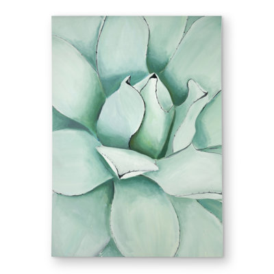 Succulent Closeup - Floral Cactus Outdoor Area Rug for Home Decor