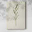 Olive Olive II - Cavas enveloppés de galerie