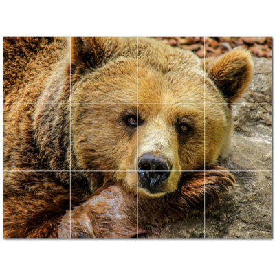 Murale en céramique satinée Bear Photo 4,25 po x 4,25 po