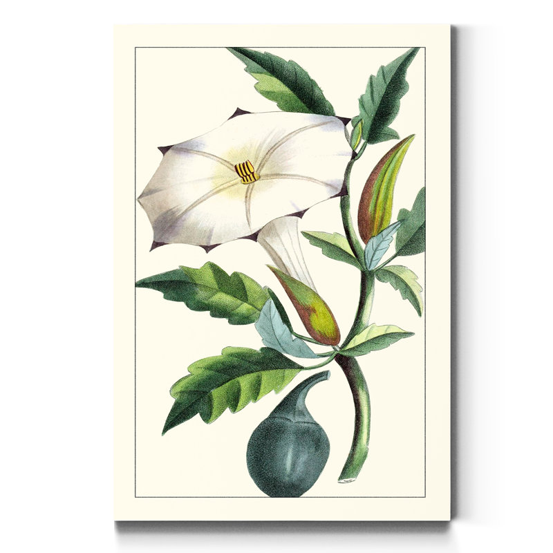 Reproduction d’art sur toile tendue « Turpin Exotic Botanical I », H 12 po x l 8 po x P 1 po