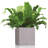 Lechuza Planter Canto Color Square 40 All-In-One-45837995