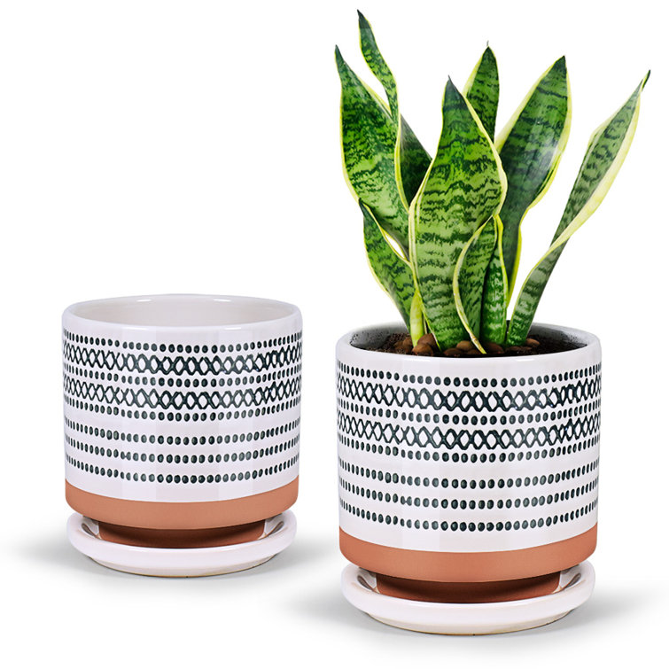 Atricia Ceramic Pot Planters
