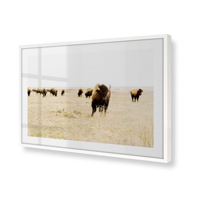 Motif de plaines sauvages, Cadre opaque blanc, H 13 po x l 17 po x P 1,25 po