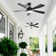 52 Inch Modern Ceiling Fan With 3 Colour Dimmable Led Light 5 Abs Blades Remote Control Reversible Dc Motor