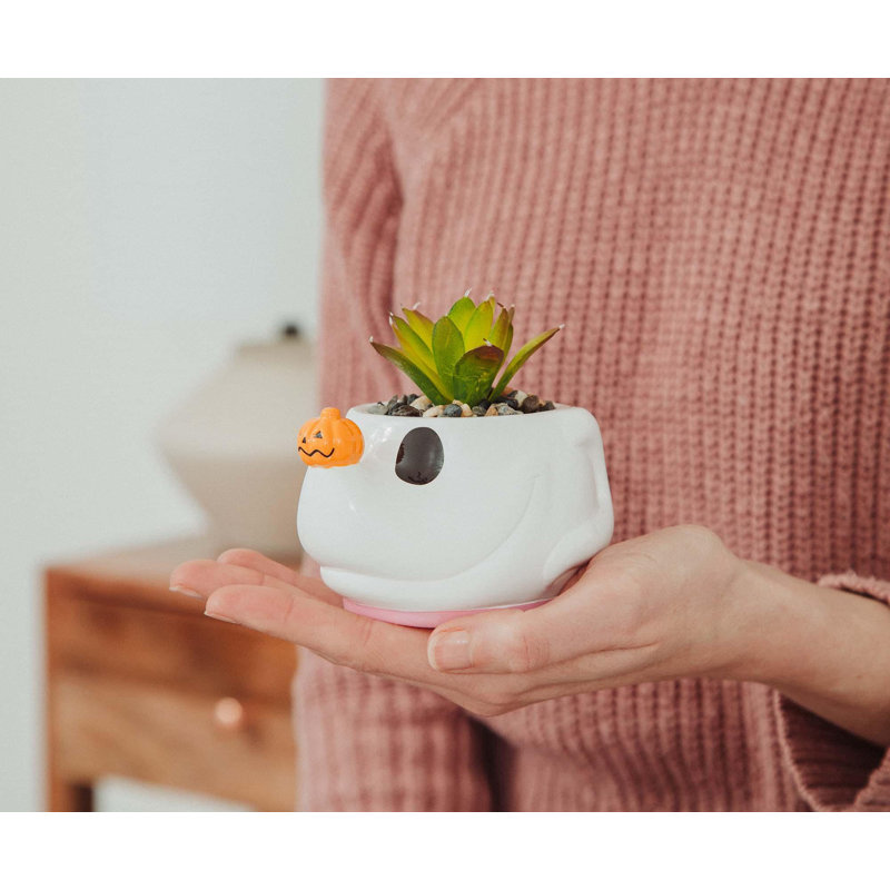 Disney Le cauchemar avant Noël, pot à fleurs avec plante grasse artificielle