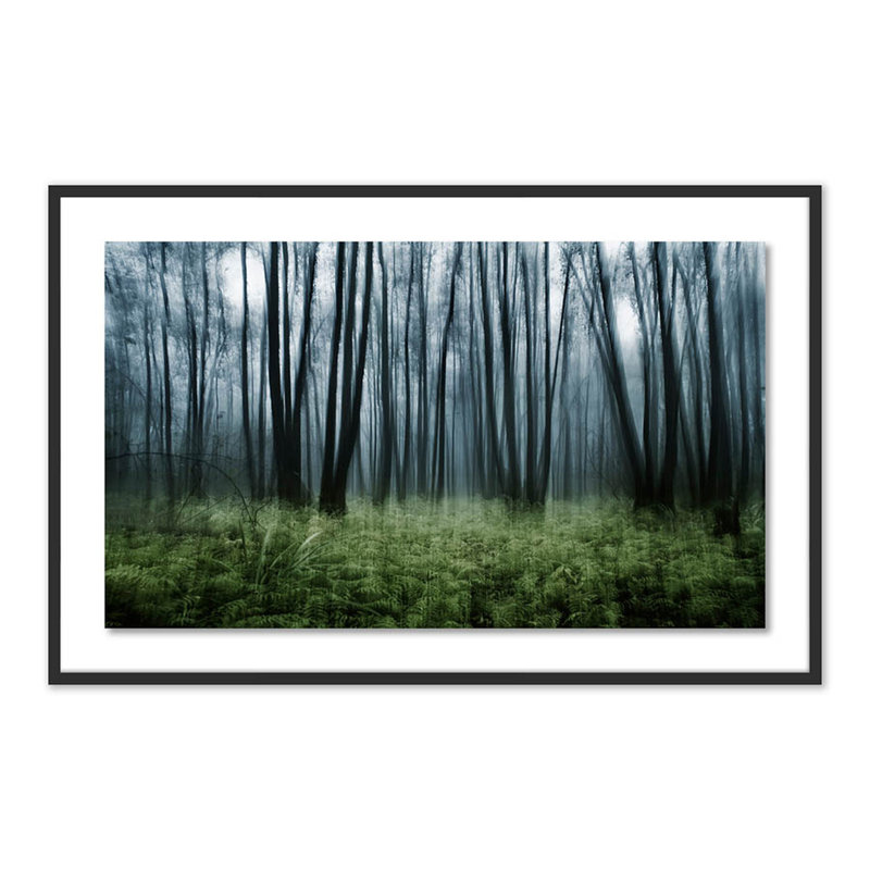 Eerie Trees IV Print by Jakob Wagner, Black, 31" H x 48" W x 2.5" D