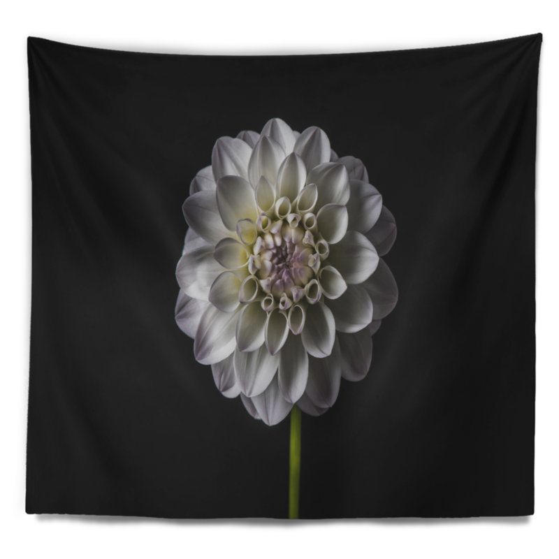Dahlia floral avec tapisserie noire, H 32 po x l 39 po