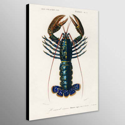 Lobster Vintage 1 Piece Wall Art on Canvas