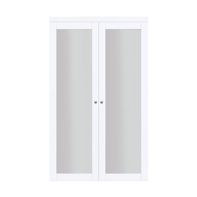 Porte pivotante Euro 1-Lite