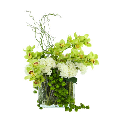 Hortensias, orchidées et plantes grasses disposées dans un vase en verre
