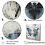 «Urban Butterflies Graffiti Accents», reproduction sur toile papillon-95867387-95867394
