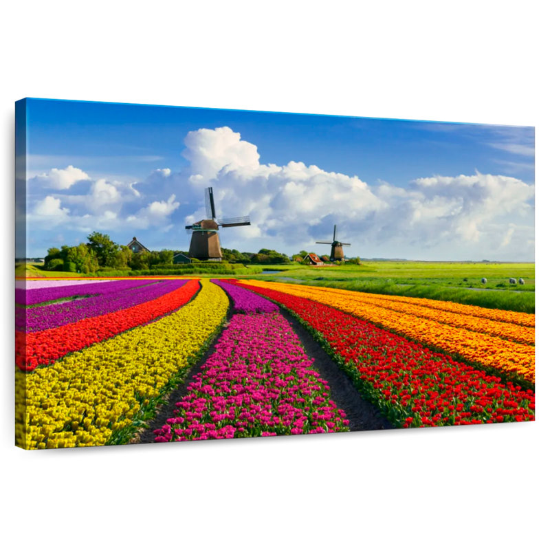Alvord scène de printemps hollandais, H 32 po x l 48 po