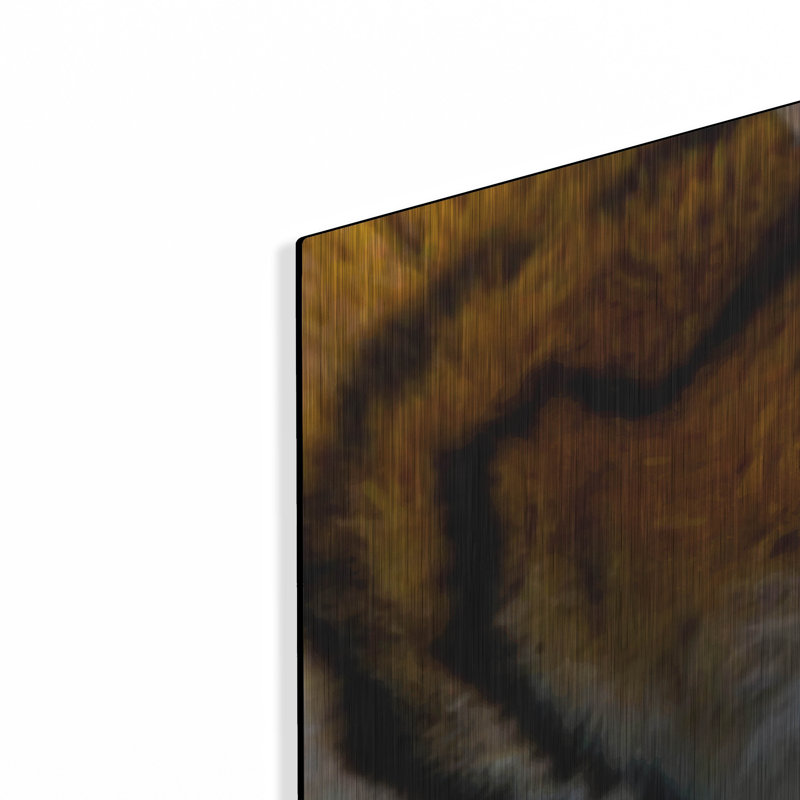 "Tigers Sleep" par Murray Henderson Fine Art, H 12 po x l 36 po