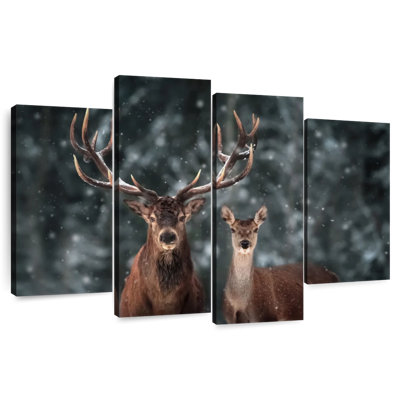 Deer Couple