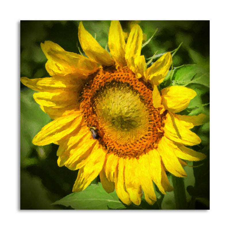 « tournesol ii », reproduction de photo, H 24 po x l 24 po x P 0,01 po, Papier