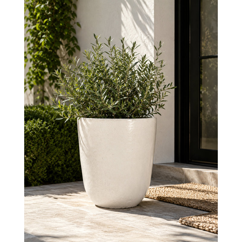 20 in. Tall Vestro - Antique White