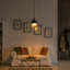 Hohenwald 1 - Light Pendant