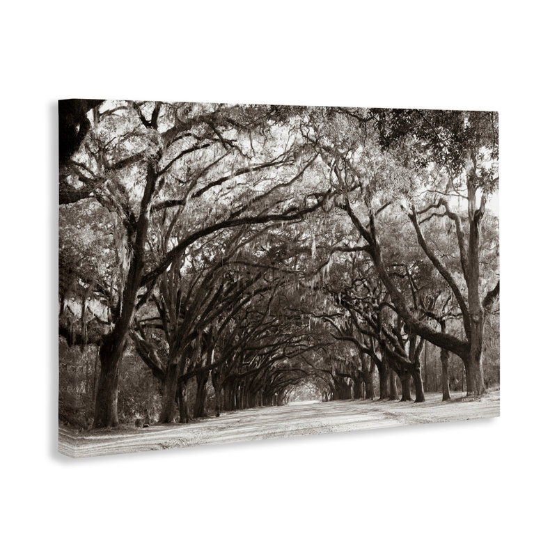 Toile avec tunnel Georgia Georgia, par Nathan Larson, H 30 po x l 45 po