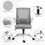 Biagiano Mesh Office Chair-112065616