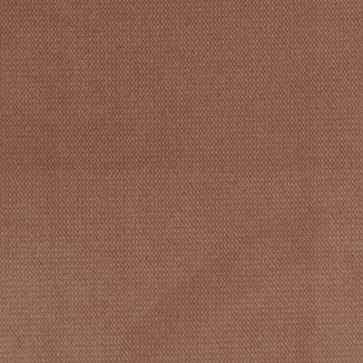 Velours de satin de coton Belvedere-Byron
