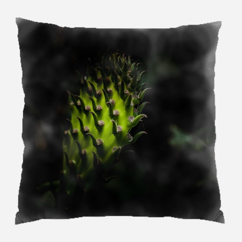 Coussin cactus Moonya, Microsuède, Intérieur